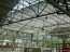 Patuxent-Nursery-1